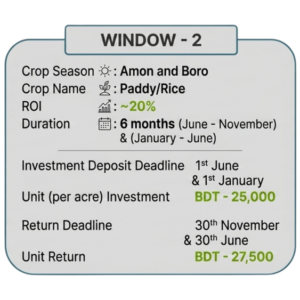window 2