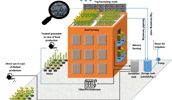 Case Study - Urban